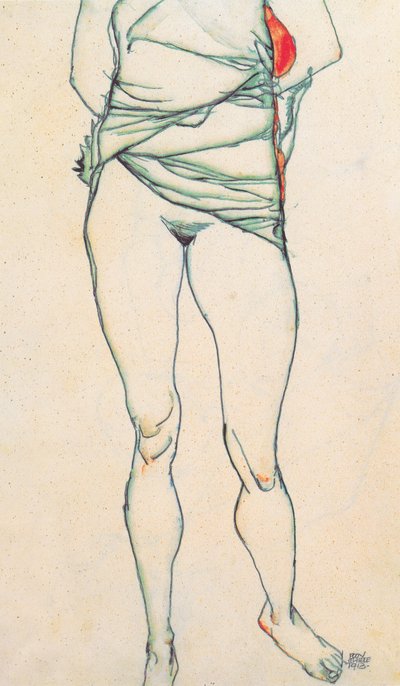 Female Torso with Raised Shirt by Egon Schiele